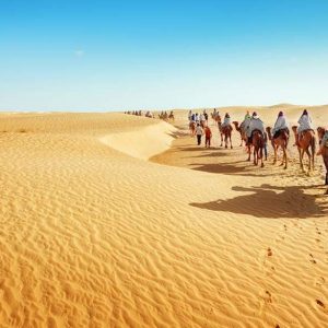 Du Lịch Châu Phi 10 Ngày 9 Đêm