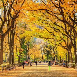 Tour Du Lịch Bờ Tây Nước Mỹ 7 Ngày 6 Đêm Mùa Thu