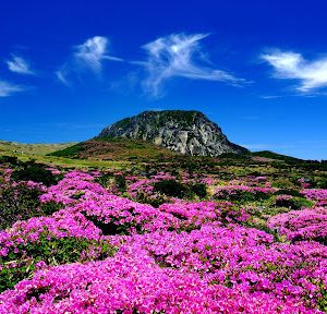 Tour du lịch Khám Phá Nam Phi