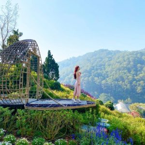 Tuần Trăng Mật – Đà Lạt mộng mơ
