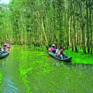Vĩnh Phúc - Cần Thơ - An Giang -  Đồng Tháp- Cần Thơ – Vĩnh Phúc.