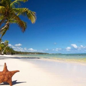  Vĩnh Phúc - Hà Nội - Phú Quốc - Vinpearl - Safari - Hà Nội - Vĩnh Phúc