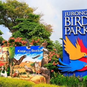 Vĩnh Phúc - Singapore thăm vườn chim Jurong - Vĩnh Phúc