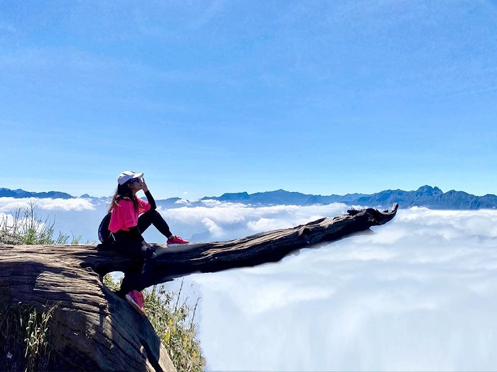 Lên đỉnh Lảo Thẩn 'tắm mây', săn ảnh đẹp vùng cao Tây Bắc