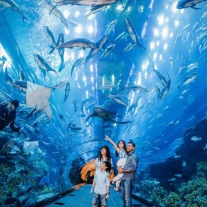 Vĩnh Phúc - Khám Phá Thủy Cung – Time City – Vĩnh Phúc